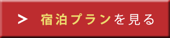 宿泊プランを見る